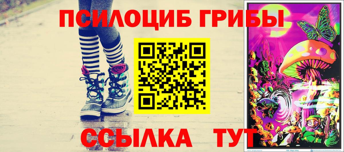 Норильск  Галлюциногенные грибы мухоморы  Вход с VPN 
